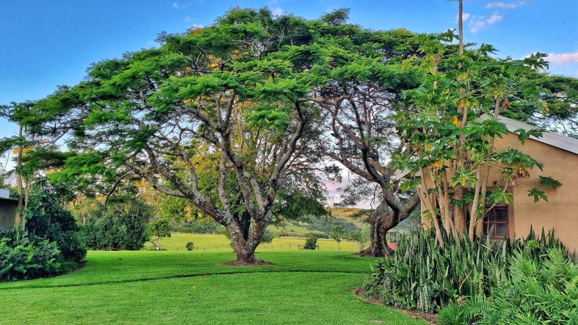 Вилла Oppieplaas Country Estate Haga Haga Экстерьер фото