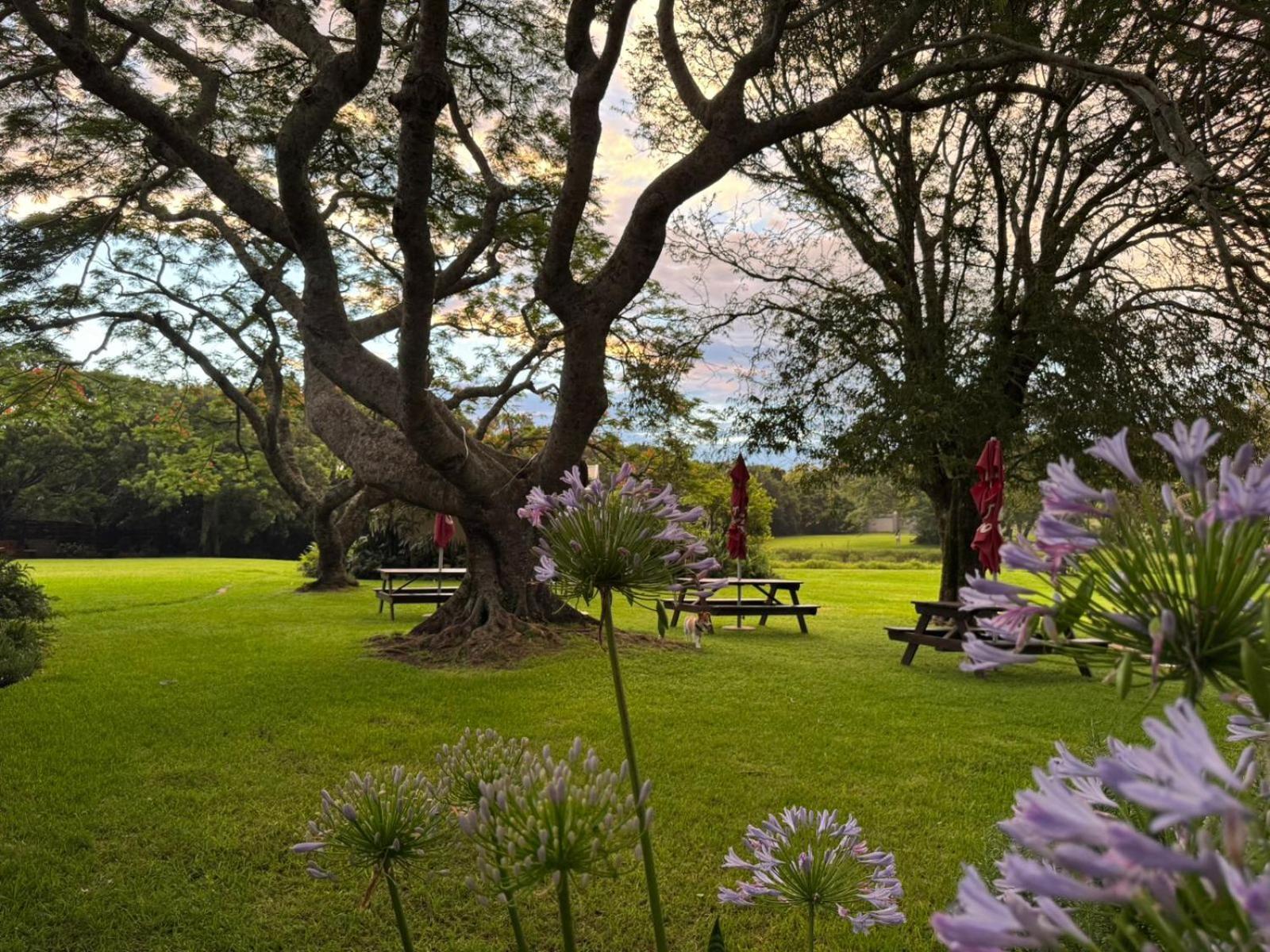 Вилла Oppieplaas Country Estate Haga Haga Экстерьер фото